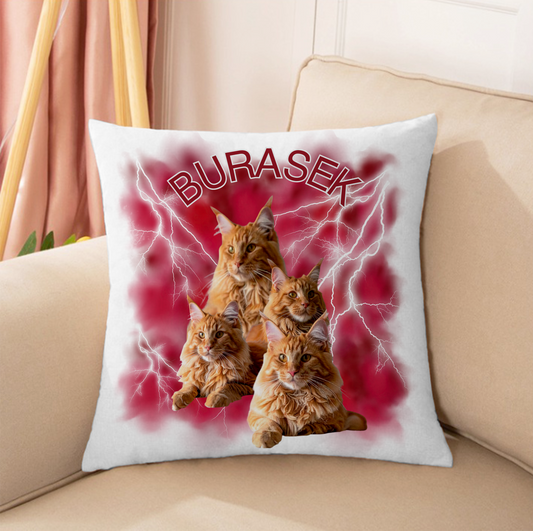 Personalizowana Poduszka z Kotem – „Twój Zwierzak, Twój Styl” ⚡ Unikalny Prezent dla Miłośników Kotów