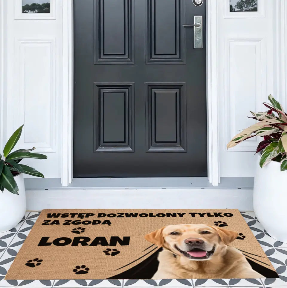 Wycieraczka Wstęp dozwolony tylko za zgodą psa