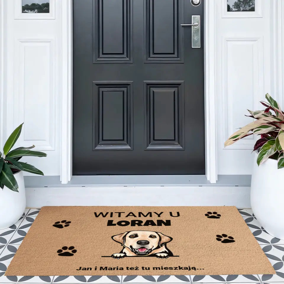 Wycieraczka Witamy w domu zwierząt