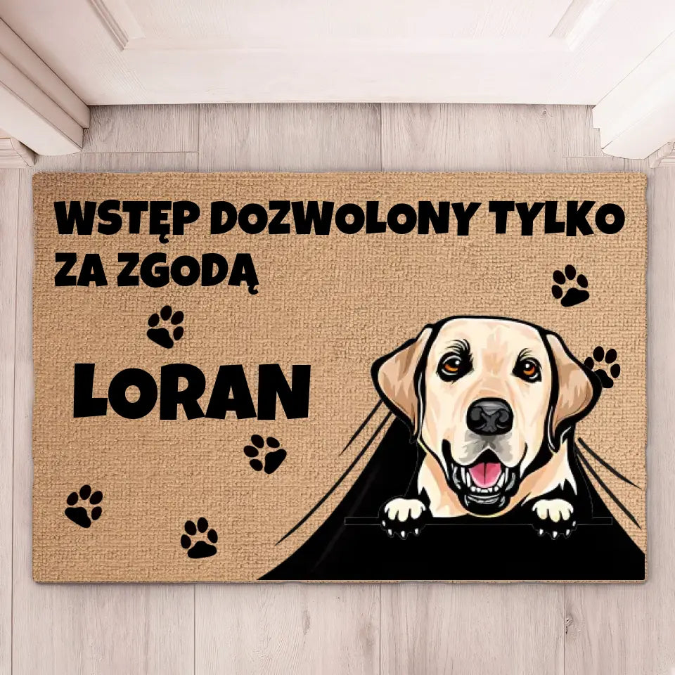 Wycieraczka Wstęp dozwolony tylko za zgodą zwierzaka