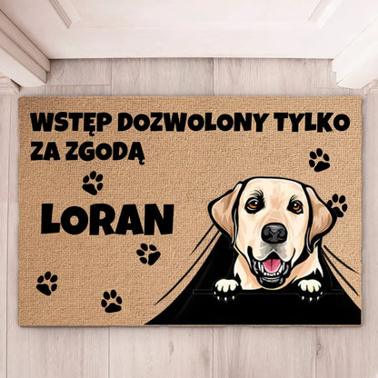 Wycieraczka Wstęp dozwolony tylko za zgodą zwierzaka