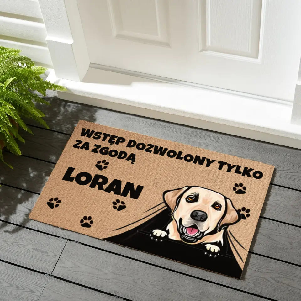 Wycieraczka Wstęp dozwolony tylko za zgodą zwierzaka