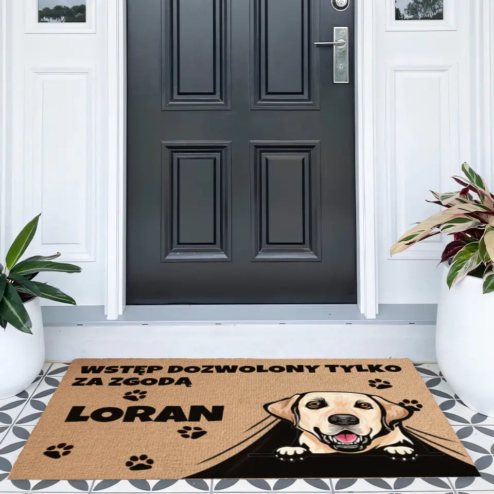 Wycieraczka Wstęp dozwolony tylko za zgodą zwierzaka